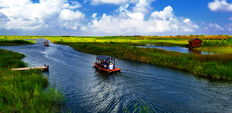 杭州湾国家湿地公园（船）